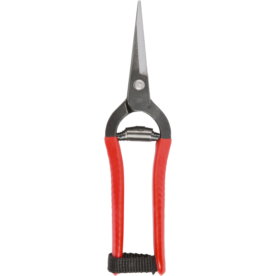 FORGED SNIPS – NIWAKI