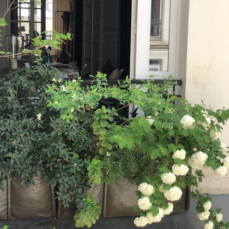 JARDINIÈRES BALCON - BRADERIE