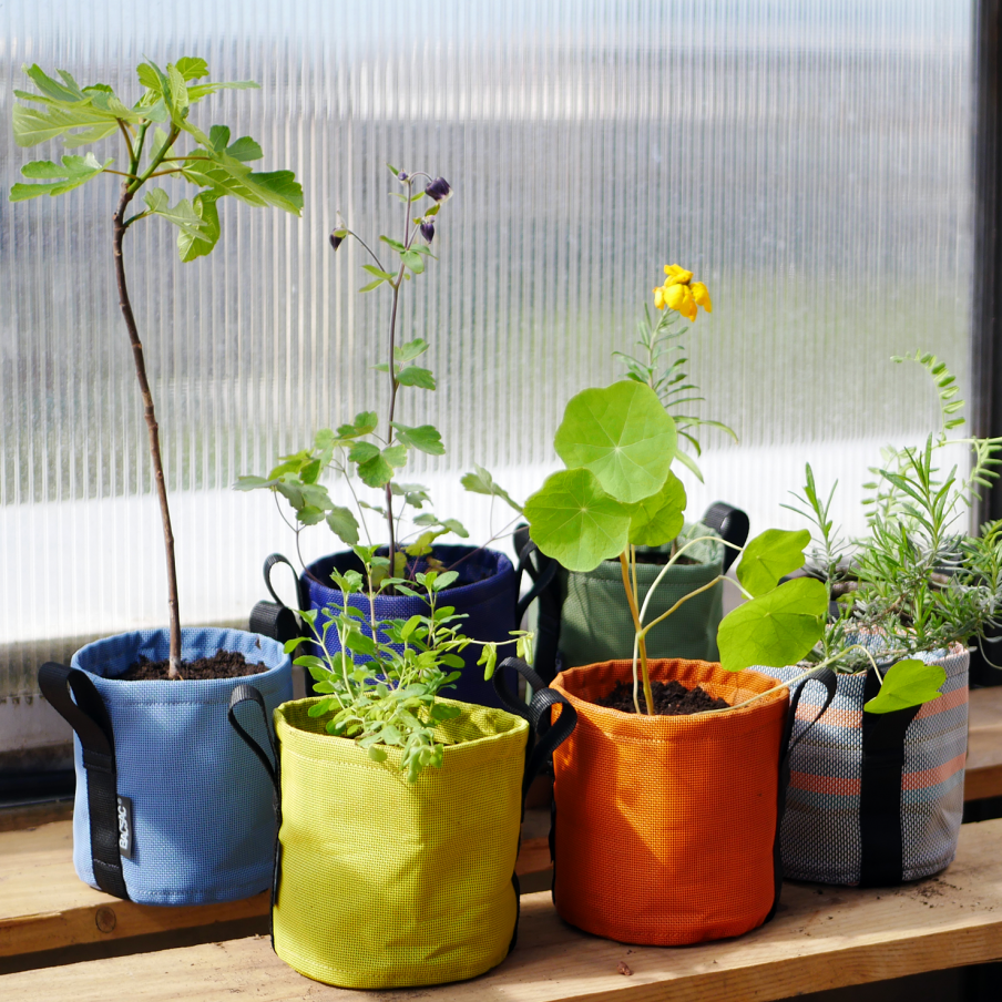 CLASSIC POTS END OF LINE -...