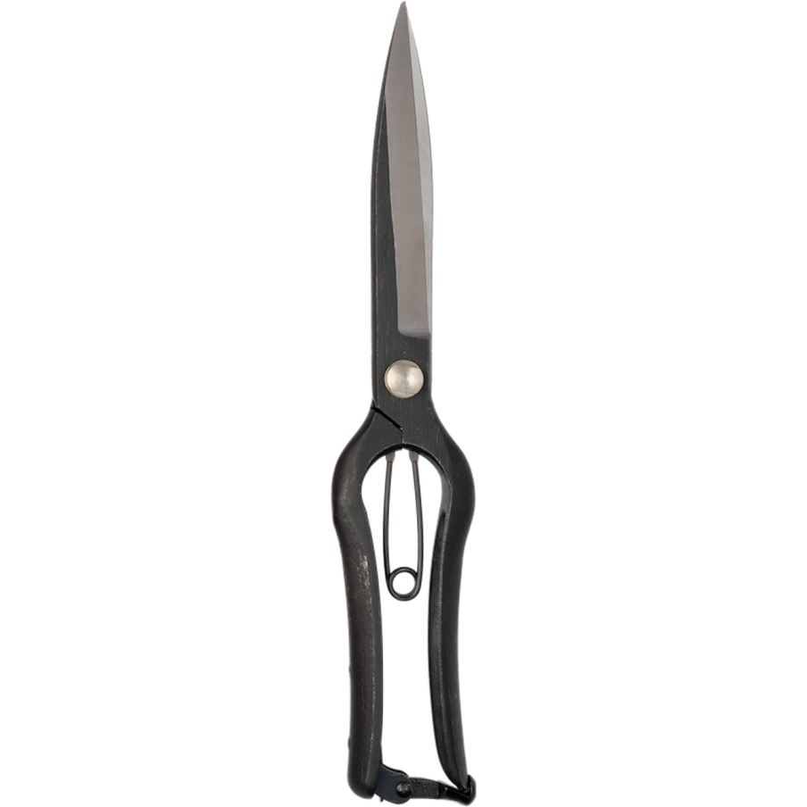 CISAILLES DE TOPIAIRE...