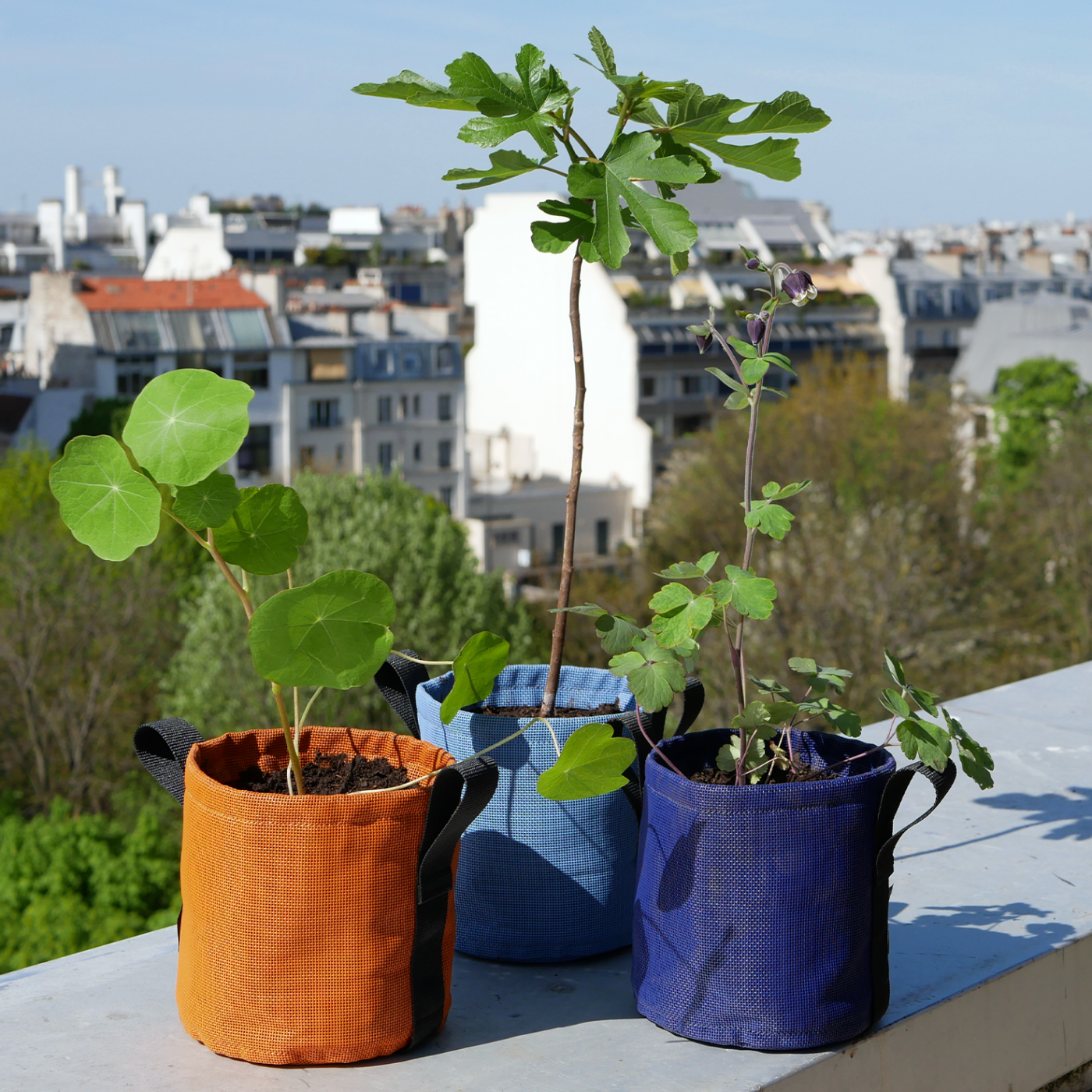 Jardinière accrochée 2 (17L) Geotextile