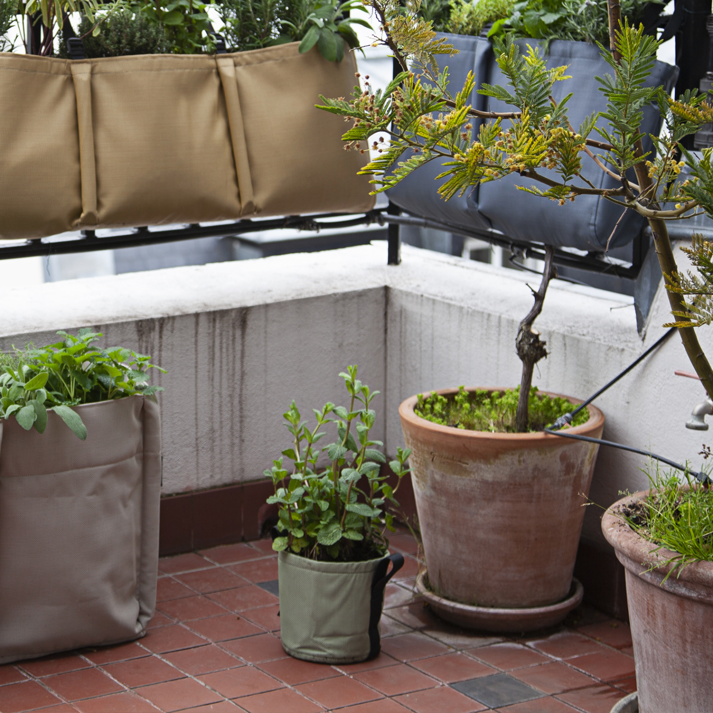 Jardinière accrochée 4 (35L) Geotextile