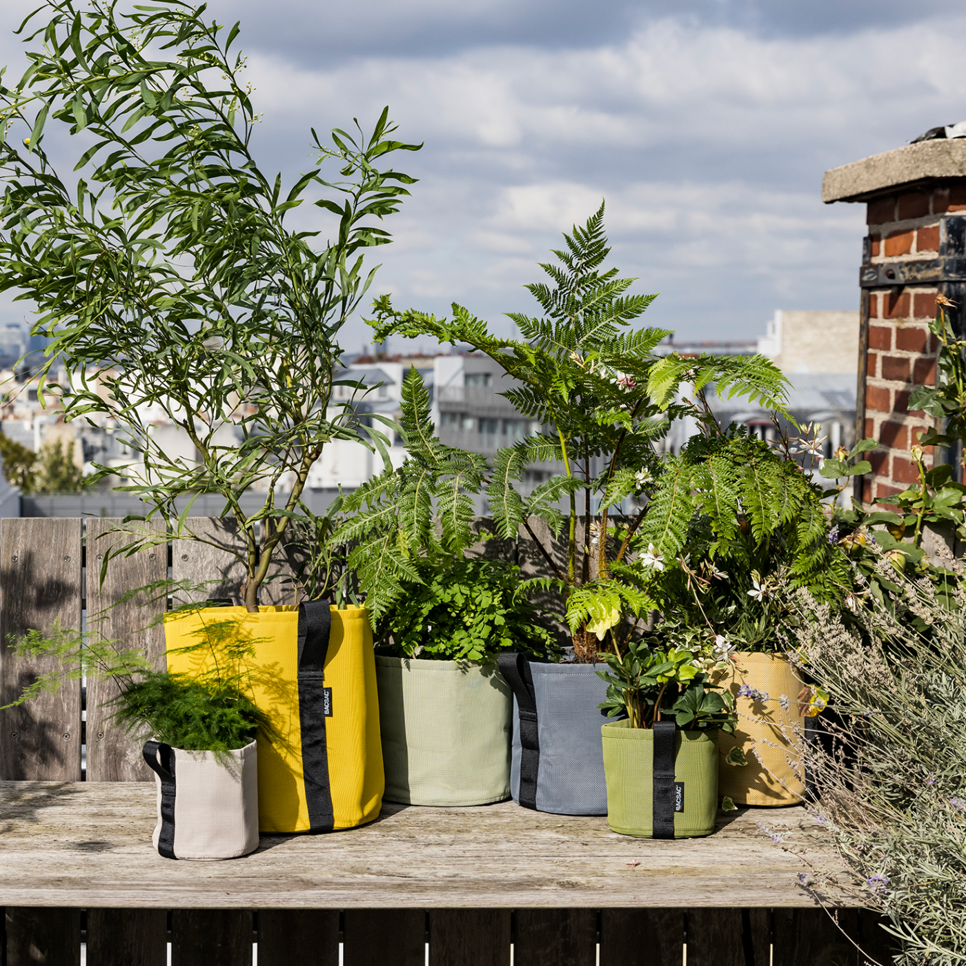 carré potager en hauteur