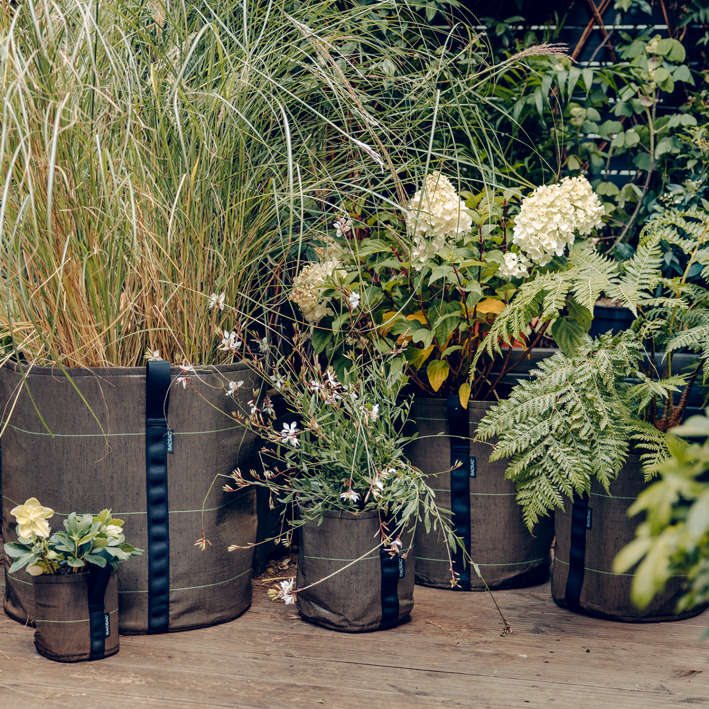 Jardinière accrochée 3 (25L) Olive