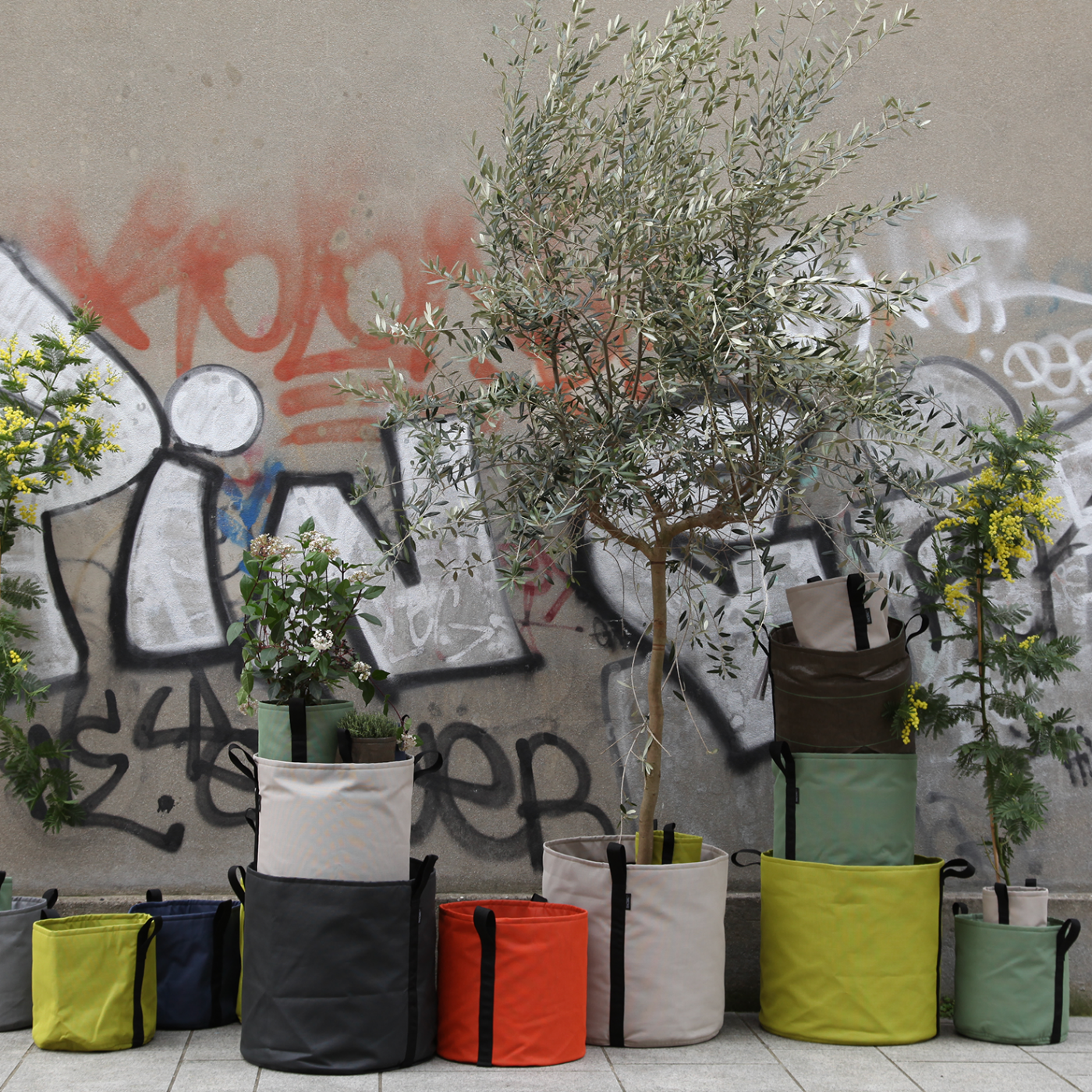bac potager