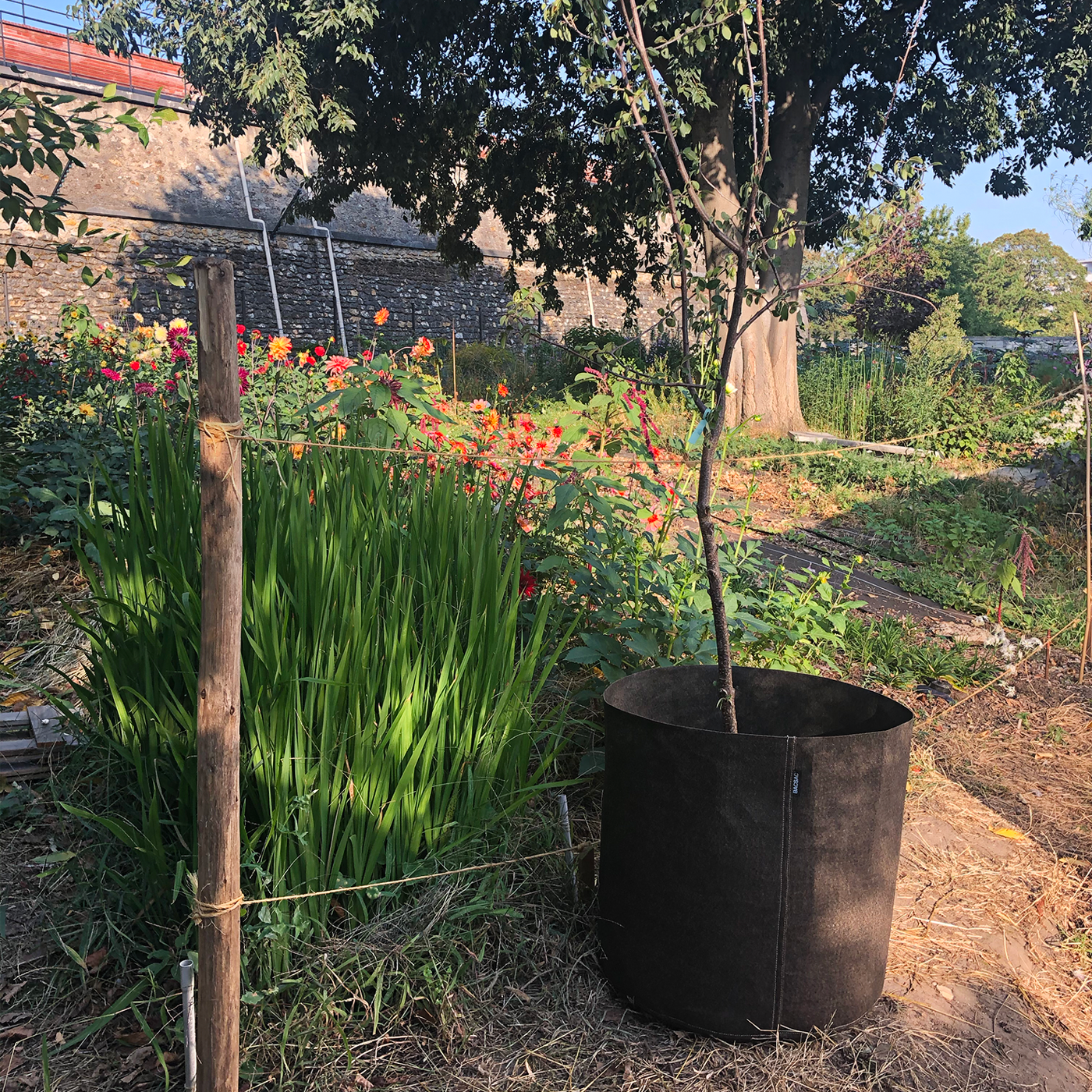 bac potager