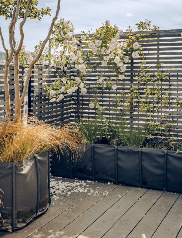 sur-mesure-1