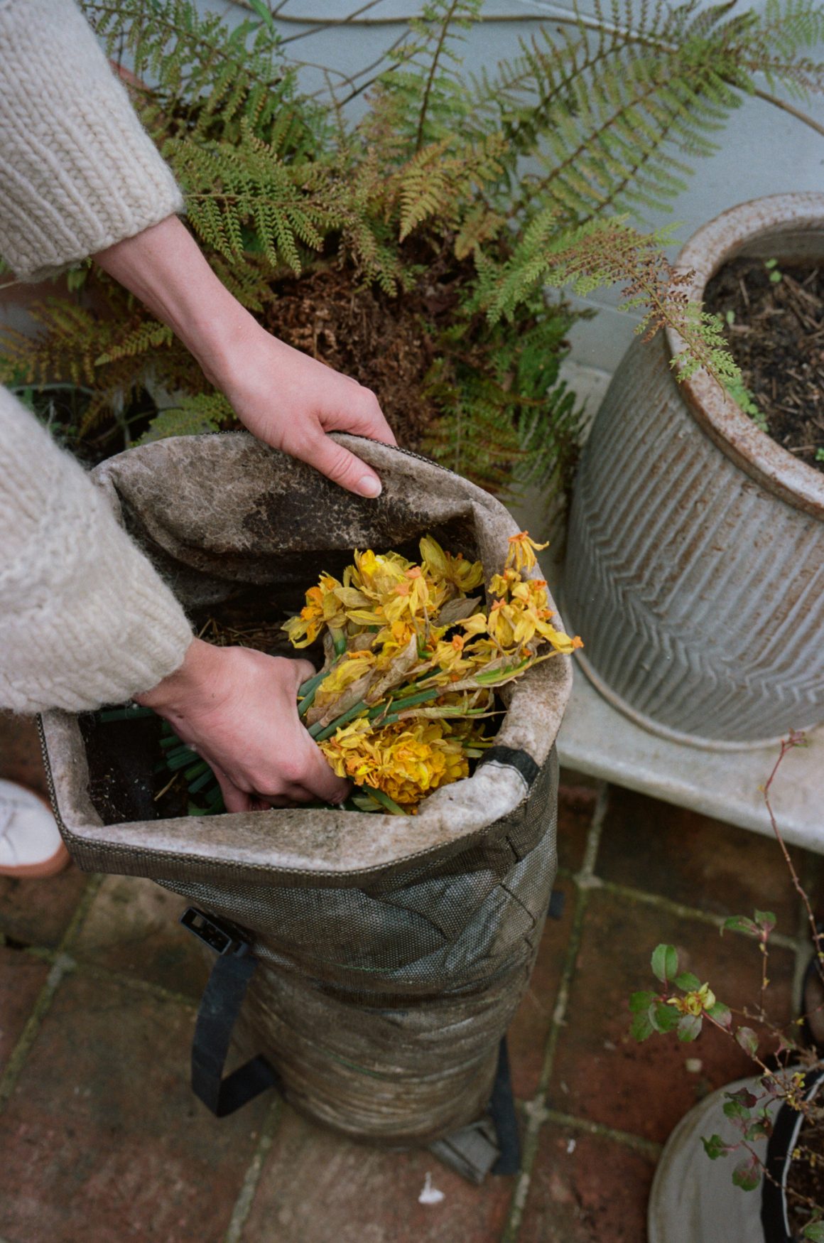 Montpellier : Ce pot de fleur composteur permet de nourrir une plante avec  des déchets